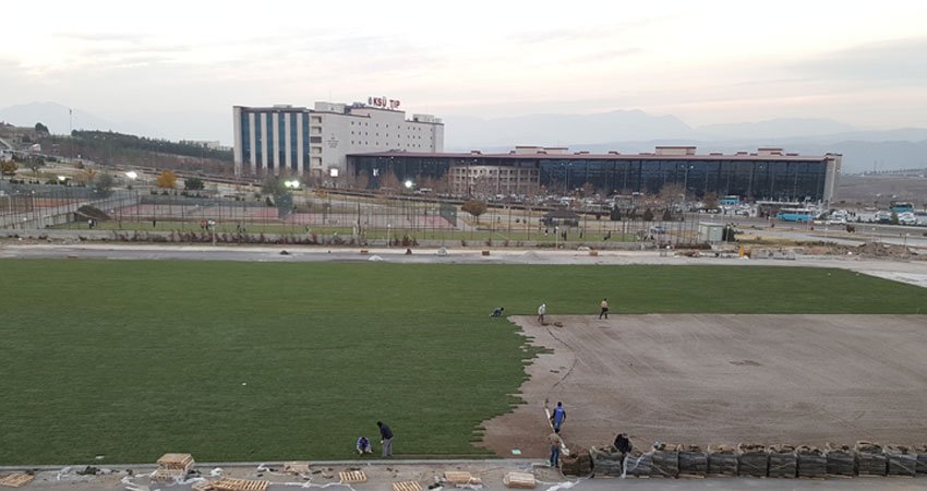 إنشاء المسطح العشبي