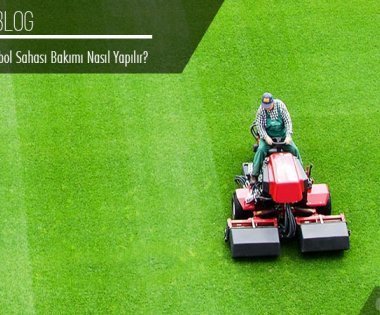 كيف تتم صيانة ملاعب العشب الطبيعي؟